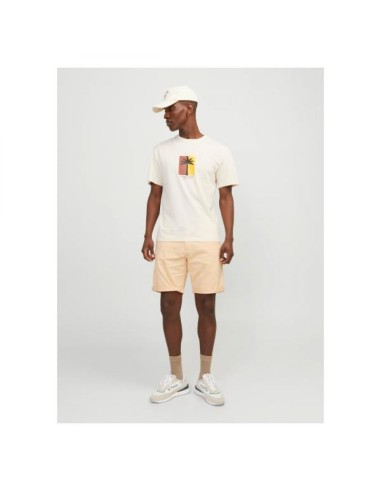 Jpstbowie Jjshorts Solid Sn