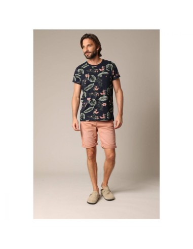 Bart Olp St M 64Olp - Rose