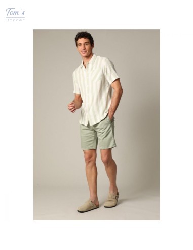 Chemise Rayée Coton Vert et Blanc — Deeluxe